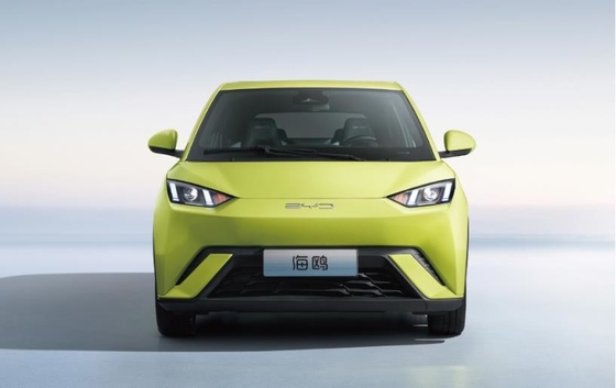 BYD Pure Electric 305KM voiture de famille compacte