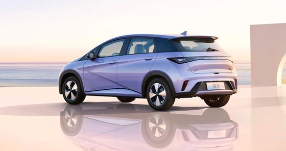 BYD Pure Electric Range 401KM Compact Populaire voiture domestique Dauphin
