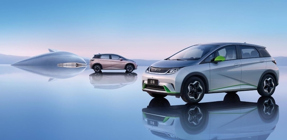 BYD Pure Electric Range 401KM Compact Populaire voiture domestique Dauphin