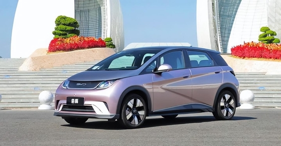BYD Pure Electric Range 401KM Compact Populaire voiture domestique Dauphin