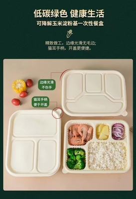 Dégradation, protection de l'environnement, santé et sécurité, boîtes à repas jetables