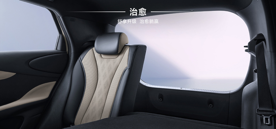 BYD 2025 420 km Dolphin Édition active électrique