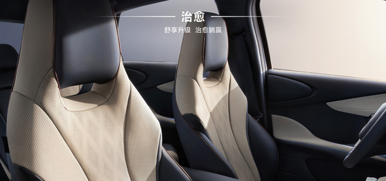 BYD 2025 420 km Dolphin Édition active électrique