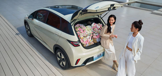 1.5L Cylindrée BYD Seal06 DM-i 120KM Version de pointe