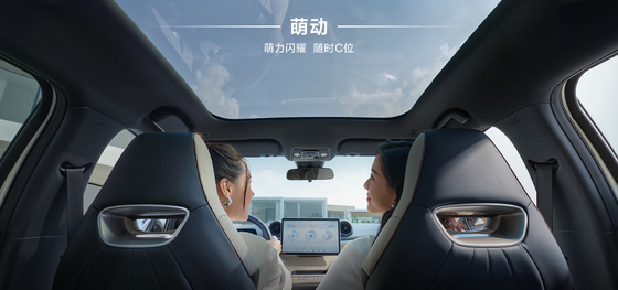 BYD 2025 Dolphin 520 km édition Knight EV