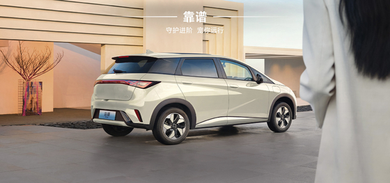 BYD 2025 Dolphin 520 km édition Knight EV