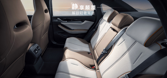 BYD Qin Plus DMI 102 km édition Leading Glory