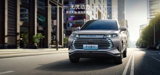 Frigate BYD07 de type Elite de 100 km