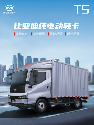 Les caractéristiques du T5 PURE ELECTRIC LIGHT TRUCK