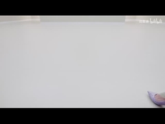 2025 420 km Dolphin Édition active électrique